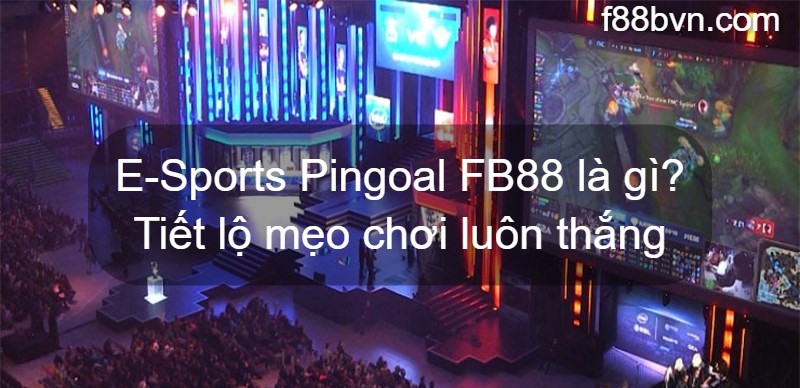 E-Sports Pingoal FB88 là gì? Tiết lộ mẹo chơi luôn thắng